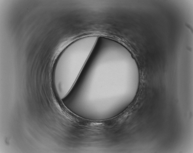 X0000103130055200808221051