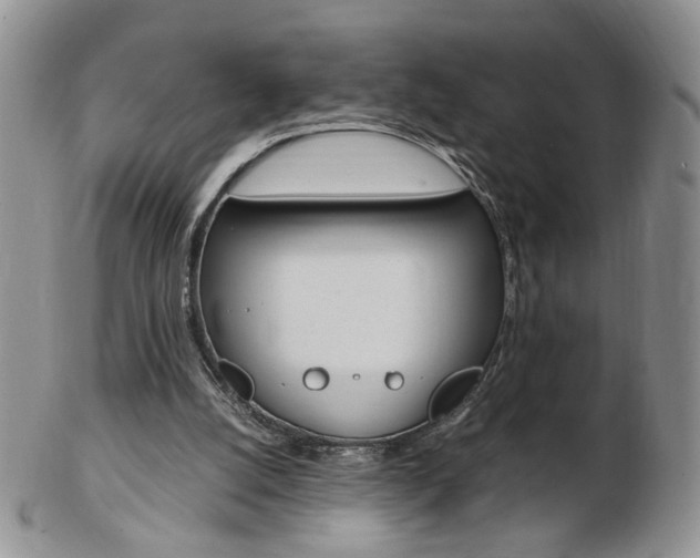 X0000103130056200808221051