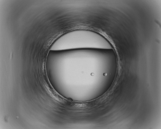 X0000103130057200808221051