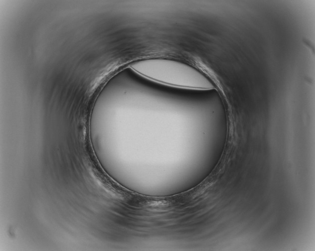 X0000103130059200808221051