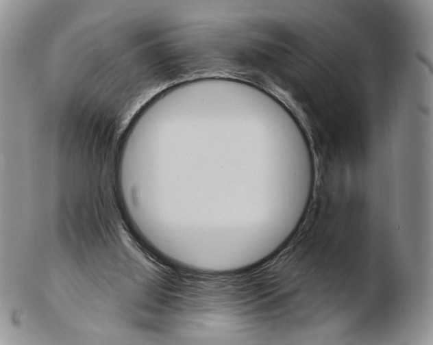 X0000103130060200808221051
