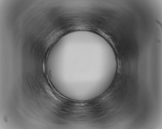X0000103130061200808221051