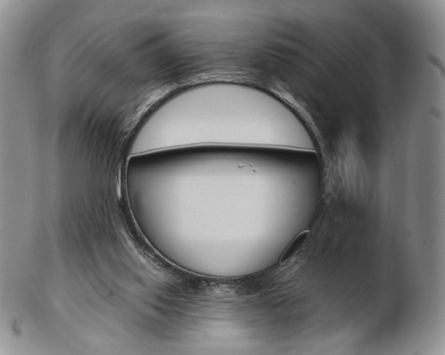 X0000103130062200808221051