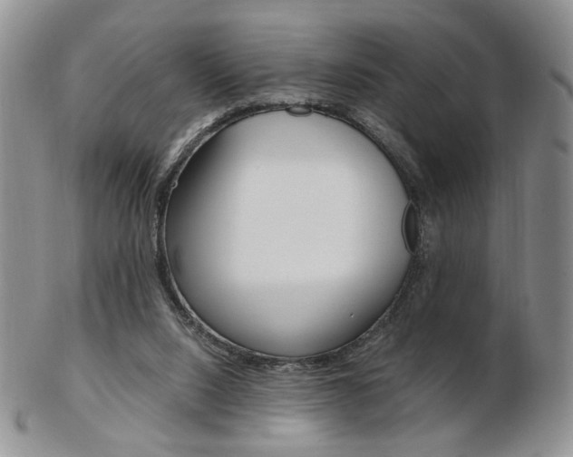 X0000103130064200808221051