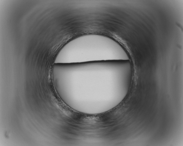 X0000103130065200808221051
