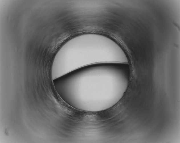 X0000103130066200808221051