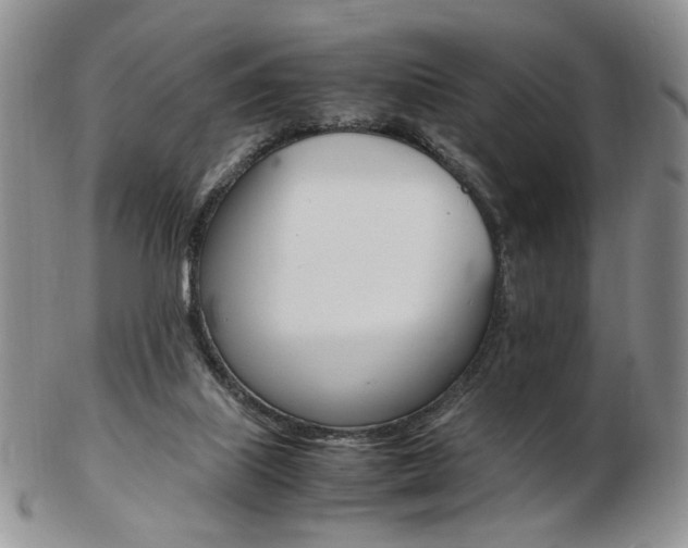 X0000103130067200808221051