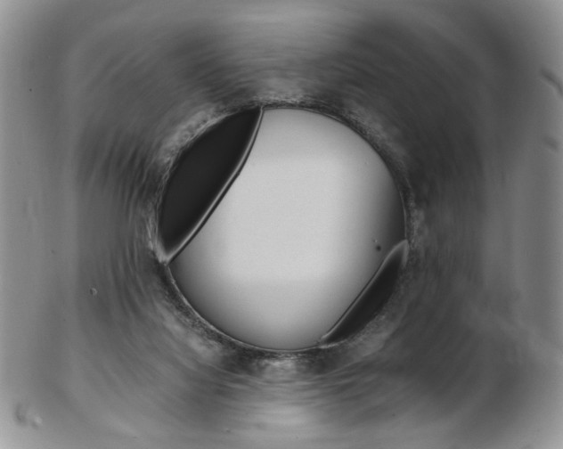 X0000103130068200808221051