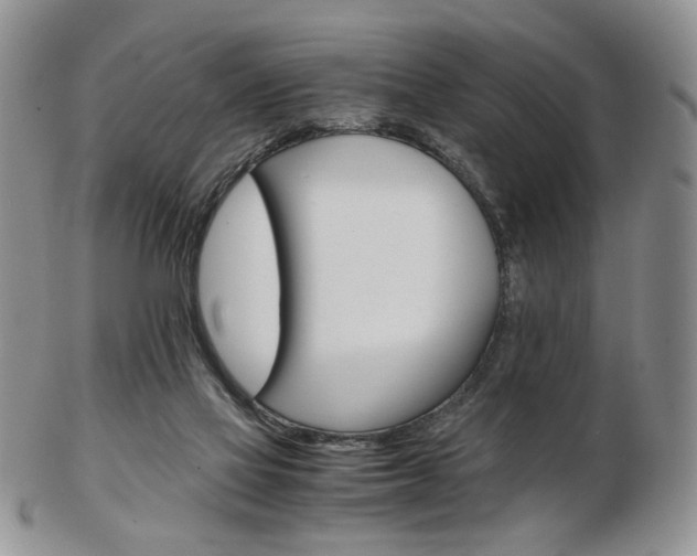 X0000103130069200808221051