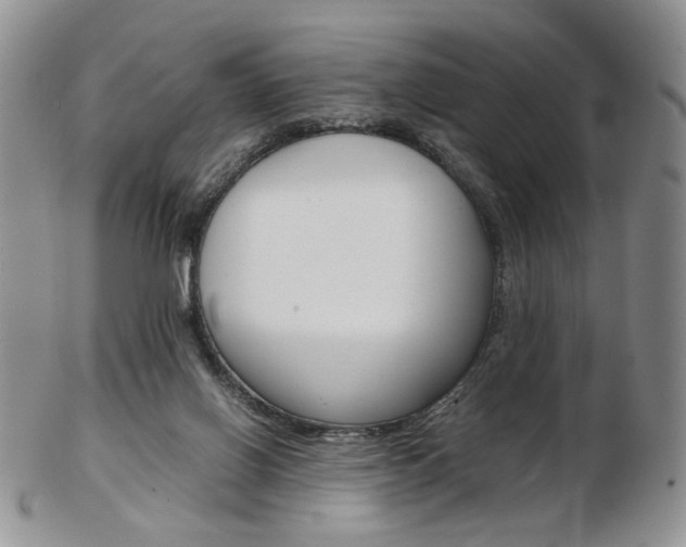 X0000103130070200808221051
