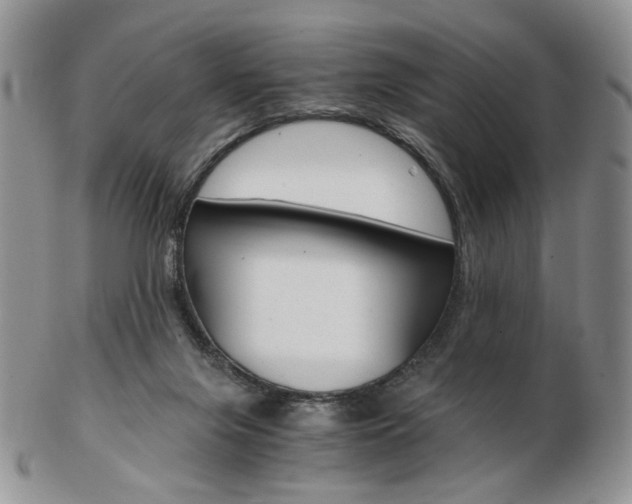 X0000103130071200808221051