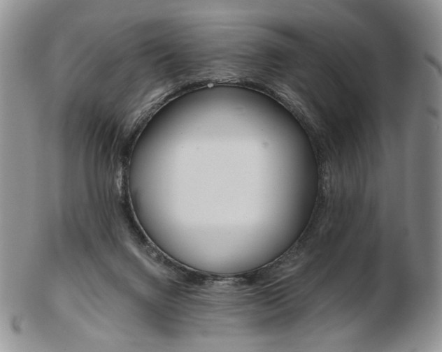 X0000103130072200808221051