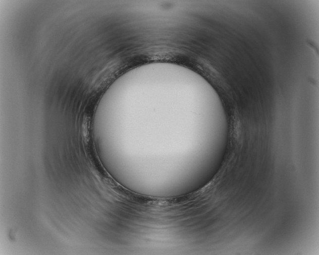 X0000103130074200808221051