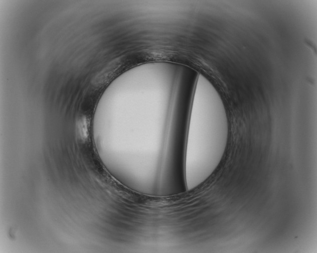 X0000103130075200808221051