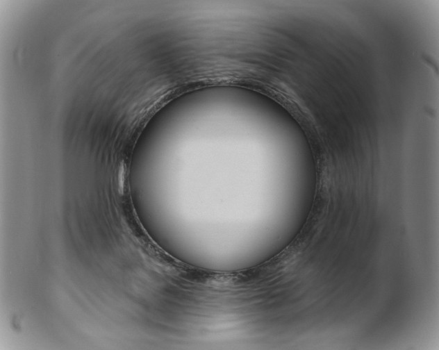 X0000103130076200808221051