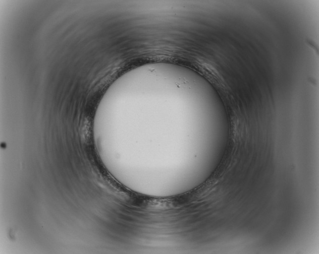 X0000103130077200808221051