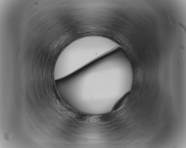 X0000103130078200808221051