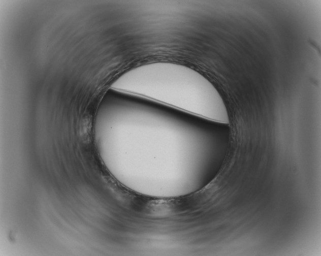 X0000103130082200808221051