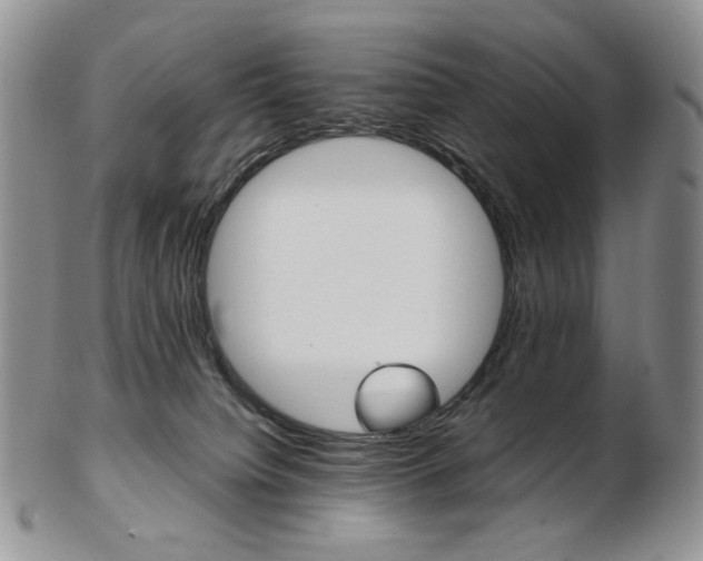 X0000103130084200808221051