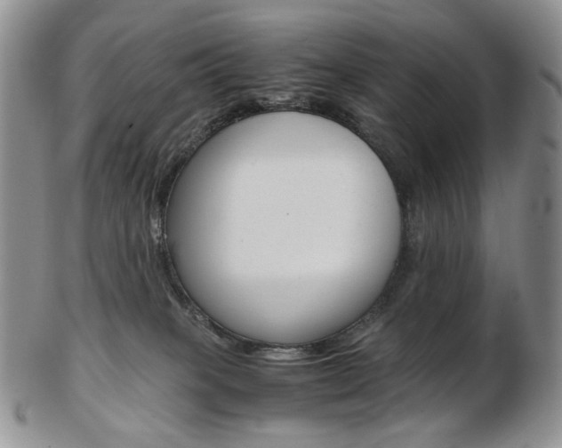 X0000103130085200808221051