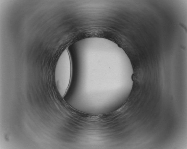 X0000103130086200808221051
