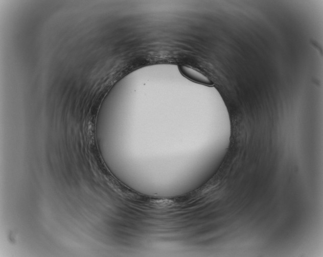 X0000103130087200808221051