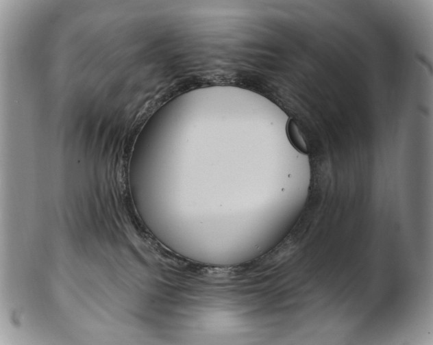 X0000103130088200808221051