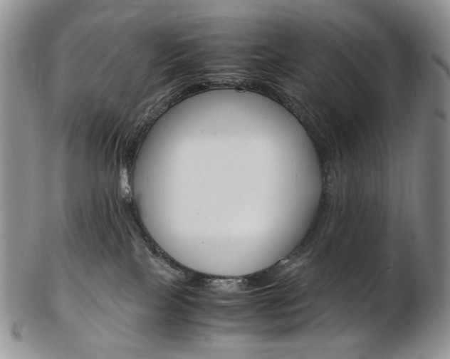 X0000103130089200808221051
