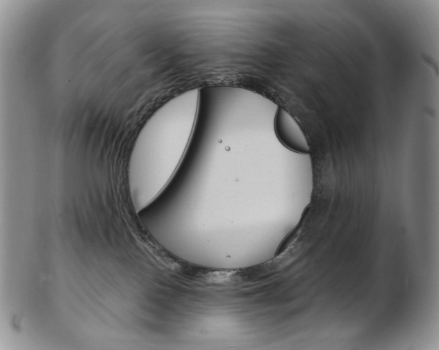 X0000103130090200808221051