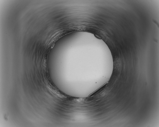 X0000103130092200808221051