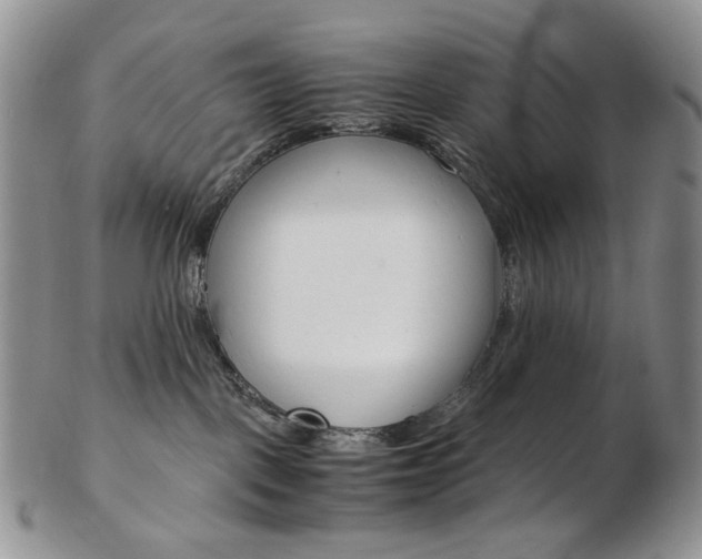 X0000103130093200808221051