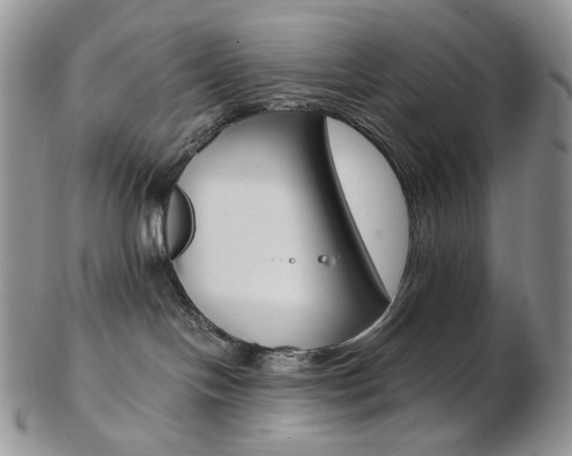 X0000103130094200808221051