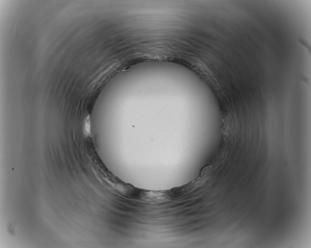 X0000103130095200808221051