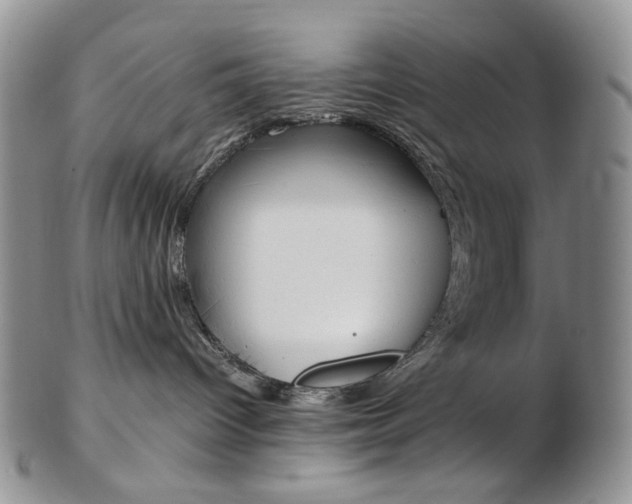X0000103130096200808221051