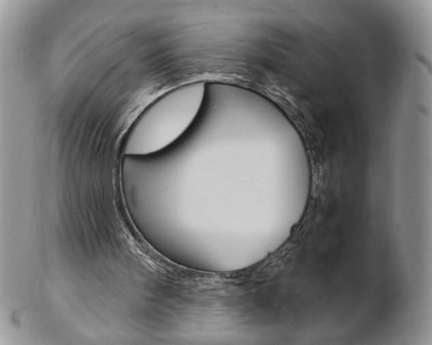 X0000103130098200808221051