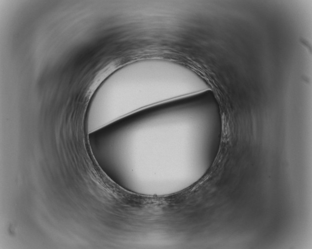 X0000103130099200808221051