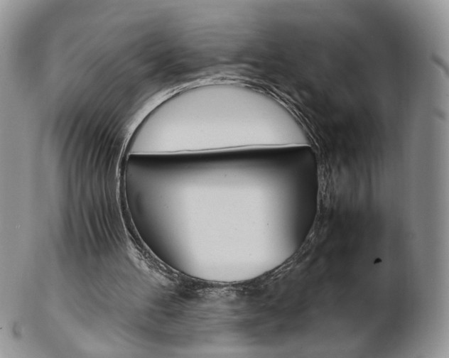 X0000103130100200808221051
