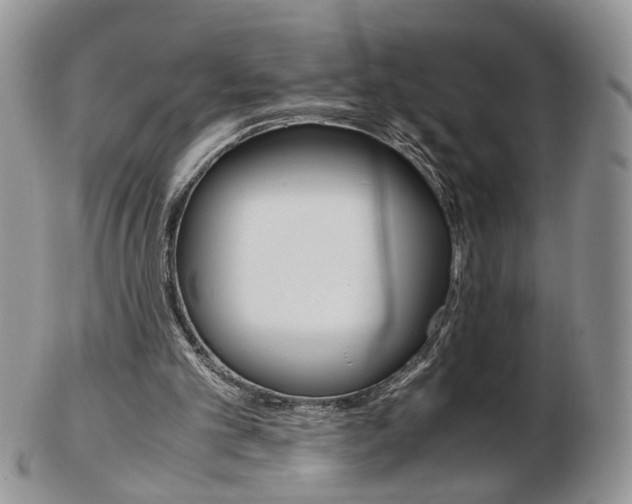 X0000103130101200808221051