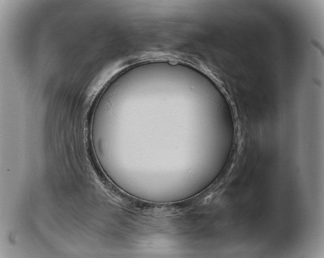 X0000103130103200808221050