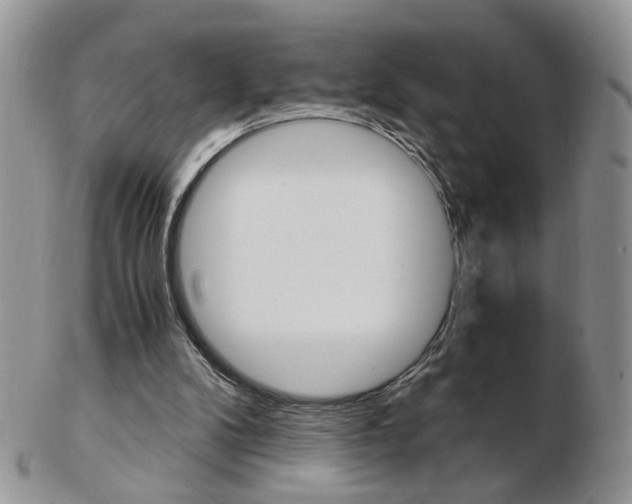 X0000103130104200808221050