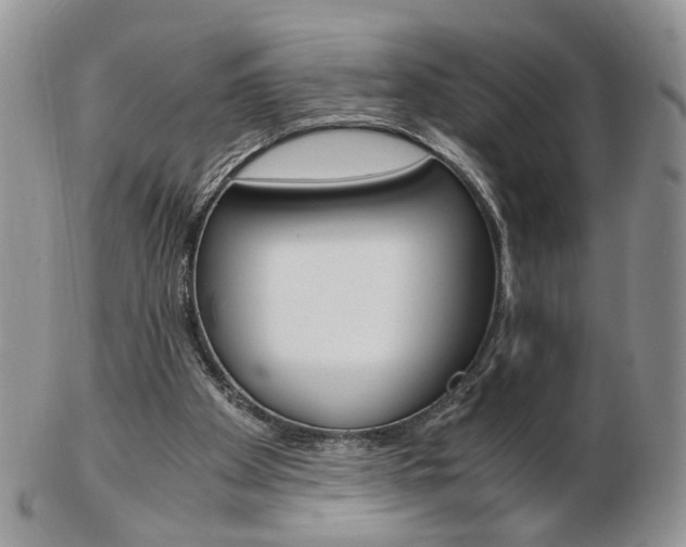 X0000103130105200808221050