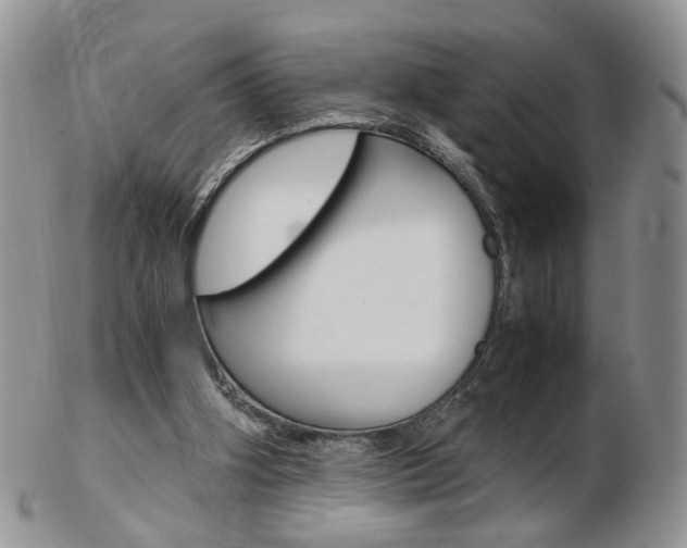 X0000103130106200808221050