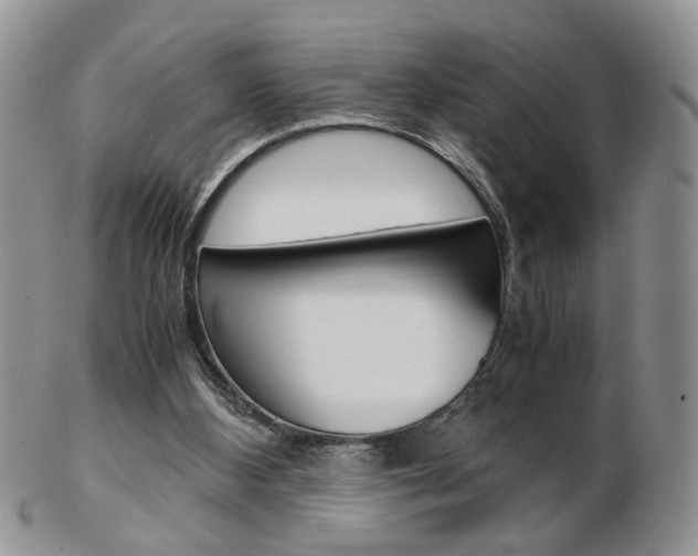 X0000103130108200808221050