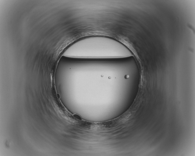 X0000103130109200808221050
