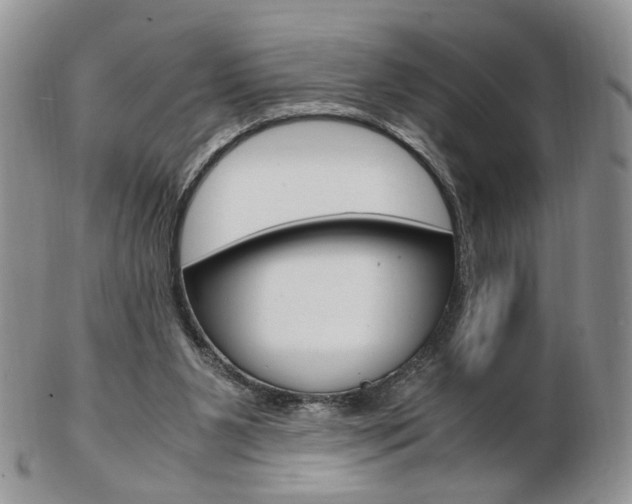 X0000103130111200808221050
