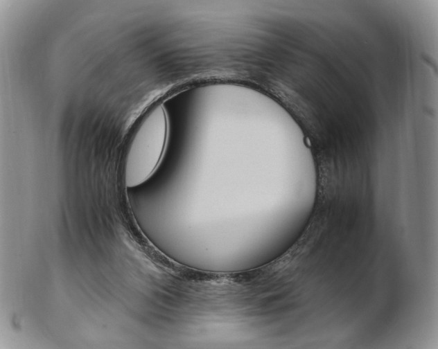 X0000103130112200808221050