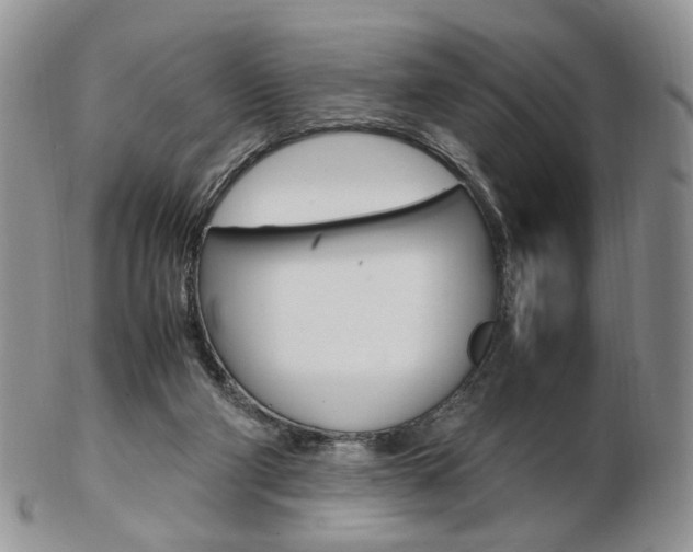 X0000103130114200808221050