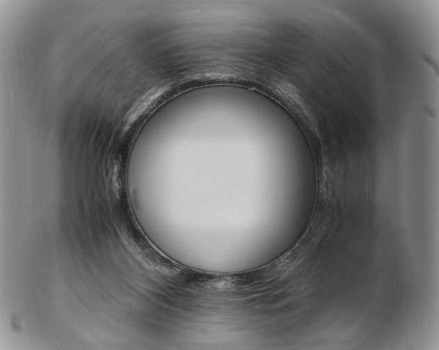 X0000103130116200808221050