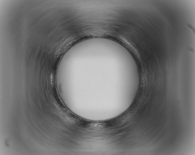 X0000103130117200808221050