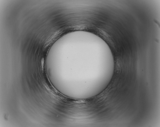 X0000103130118200808221050